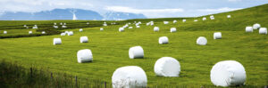 Silage Wrap Harvesting